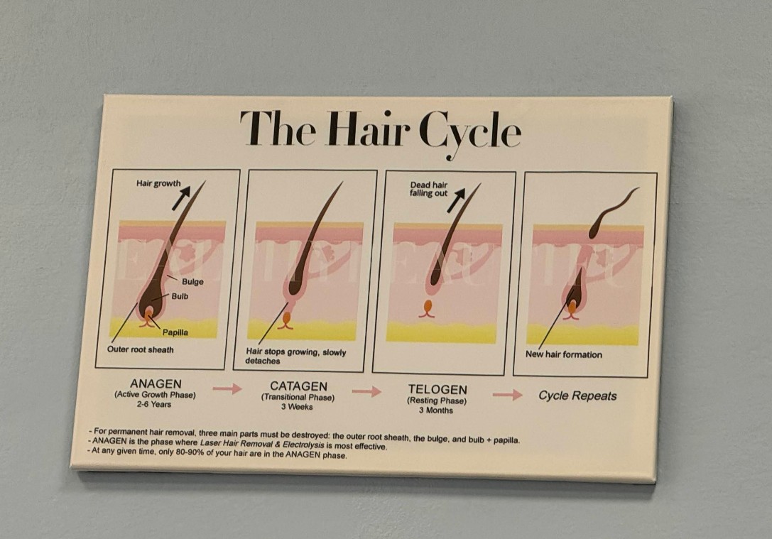 ETERNAL hair transplant clinic interior Italy — photo 6